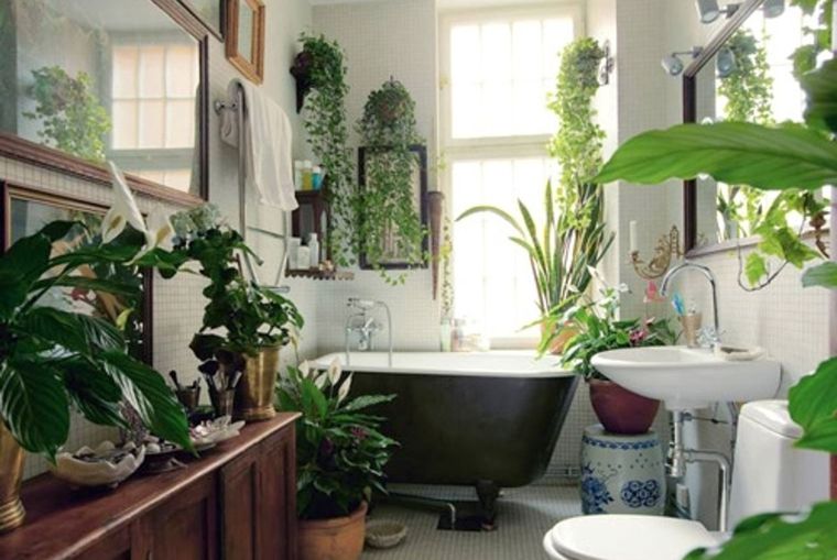 Plantas Elige estas especies para colocarlas en el baño Foto: Pinterest