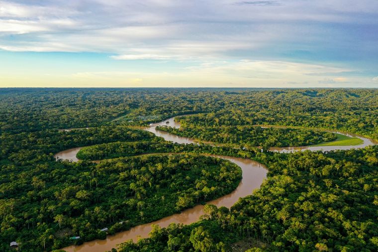 El descubrimiento ocurrió en la Amazonía peruana Foto: Shutterstock