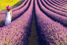 Caminar... Foto: GETTY IMAGES