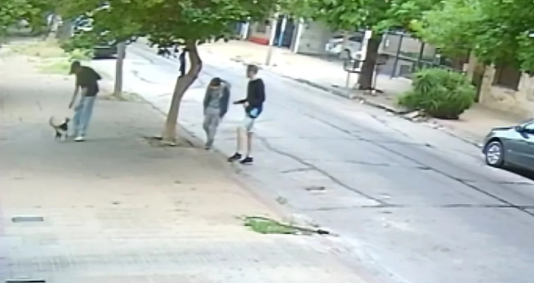 El ataque al gato. Foto: NA