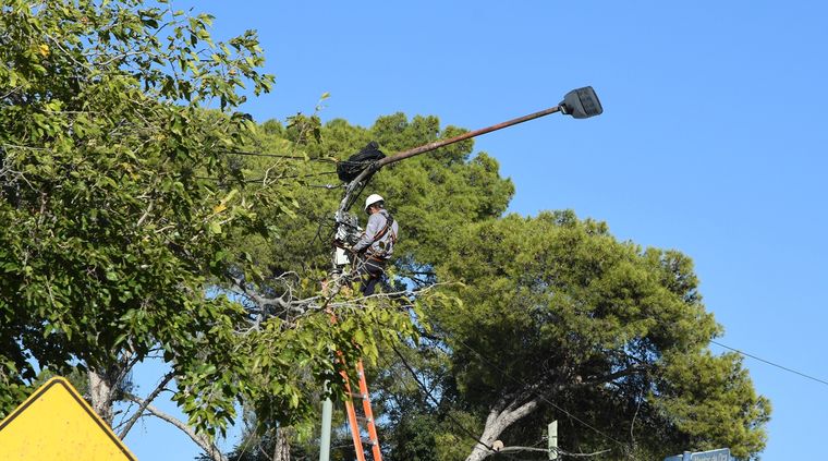 Foto: ALF PONCE MERCADO / MDZ