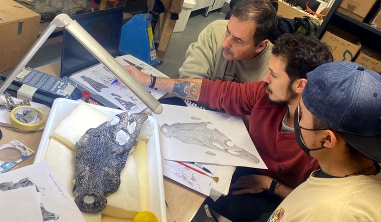 El fósil está siendo estudiado en Portugal por los paleontólogos. Foto: Efe.