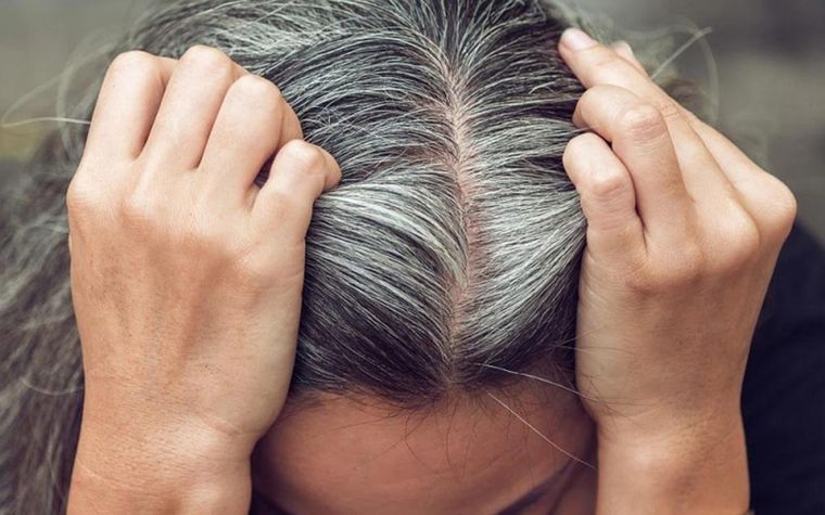 ¡Dile adiós a las canas! Estas son las mascarillas más efectivas para teñir las canas de una forma natural