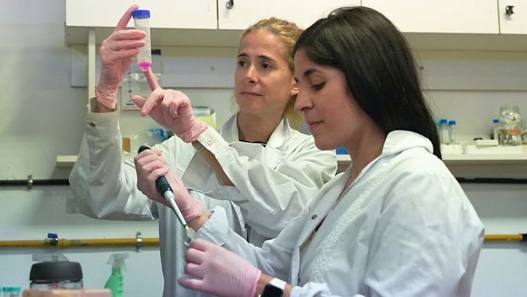 El hallazgo proporciona nuevas claves para comprender y buscar tratamientos para el COVID-19 y lo que se conoce como long COVID o COVID prolongado. Foto: Conicet