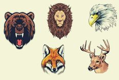 Test de personalidad