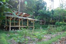 Jardín botánico de una escuela Montessori Foto: Lola Arpa