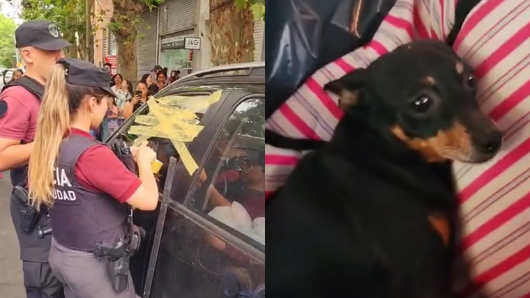 La mascota estaba temblando cuando los oficiales lograron abrir las puertas. Foto: Policía de la Ciudad