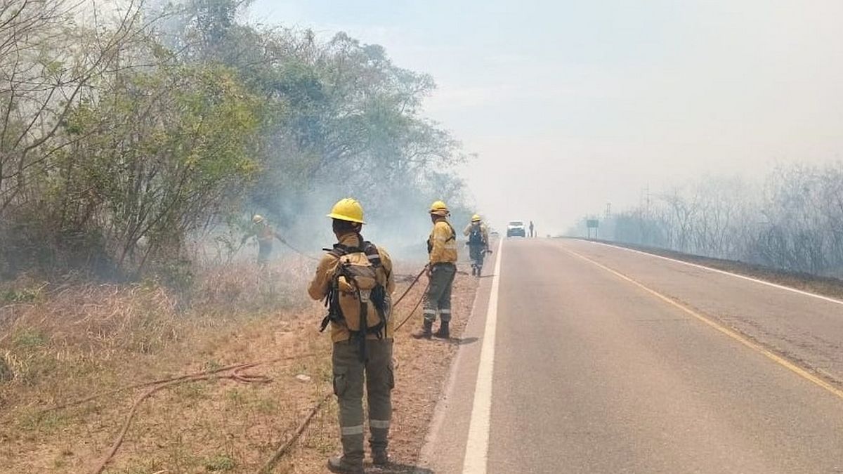 Preocupación en Jujuy: hay siete incendios forestales activos y ya arrasaron más de 1.200 hectáreas