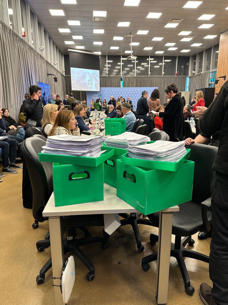 Las firmas de los diputados opositores Las firmas de los diputados opositores