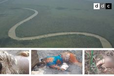 Foto: Diario de Cuba