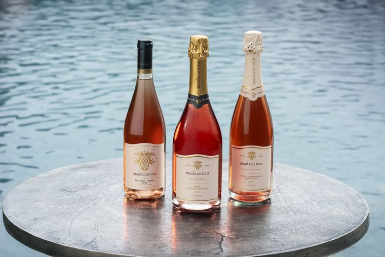 En el 2021, se realizó la primera elaboración propia” En el 2021, se realizó la primera elaboración propia”