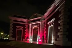 La intervención forma parte de una campaña internacional impulsada también en Mendoza.