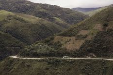 El reino de los afrobolivianos se encuentra en la región de los Yungas. Foto: getty images