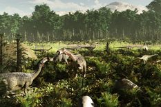 neuquen: hallan huevos de 70 millones de anos