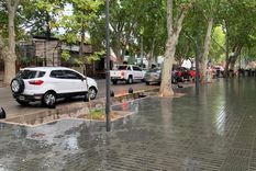 Foto: ALF PONCE MERCADO / MDZ