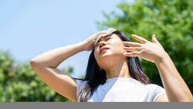 Reconoce el golpe de calor Foto: Shutterstock Reconoce el golpe de calor Foto: Shutterstock