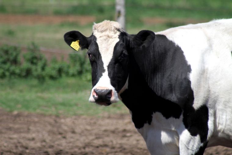 Foto: Secretaría de Bieconomía