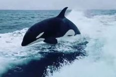 Increíbles imágenes. Increíbles imágenes.