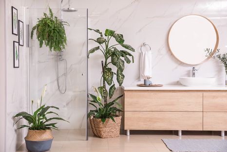 El baño puede ser un lugar lleno de plantas. Foto: Shutterstock