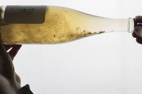 Pet Nat. Foto: Wines of Argentina