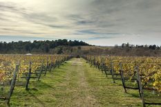 Athos Pampa es un pueblo serrano donde los caminos de ripio y el paisaje verde forman una de las escenas más tranquilas de Calamuchita.