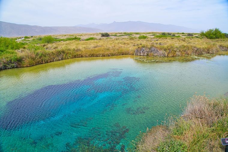 Entre desiertos y oasis, este pueblo mexicano combina historia, ciencia y paisajes únicos que lo convierten en un destino imperdible. Entre desiertos y oasis, este pueblo mexicano combina historia, ciencia y paisajes únicos que lo convierten en un destino imperdible.