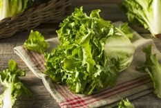Lechuga Estas verduras de hojas verdes pueden acumular bacterias como el coli, norovirus o la Salmonella. Foto: Archivo