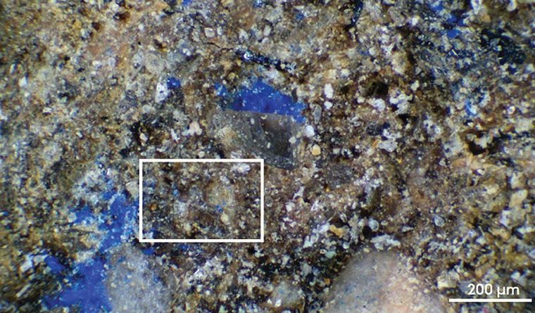 El descubrimiento de la arqueología de pigmentos azules se basó en esta prueba. Foto Dpa El descubrimiento de la arqueología de pigmentos azules se basó en esta prueba. Foto Dpa