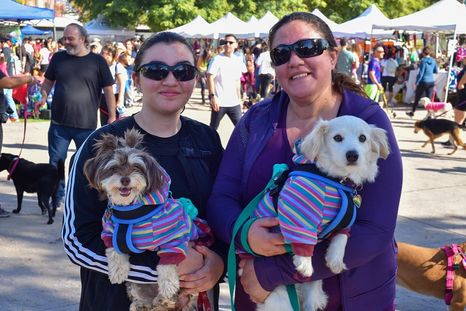 Así se vivió la Maratón Animal 2025. Foto: Maru Mena/MDZ