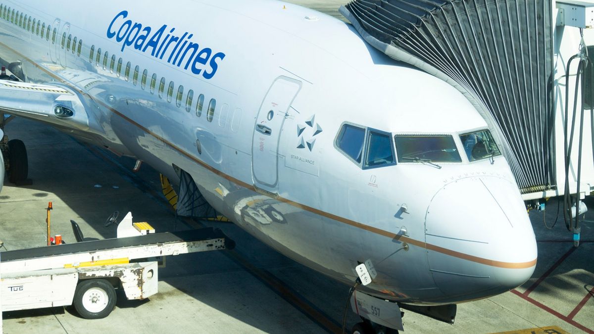 Escándalo sexual en el aire: quiénes son los rosarinos detenidos por tener sexo en un avión