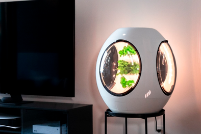 MDZol | El huerto o minijardín se encuentra dentro de una cápsula que se configura para que una niebla ultrafina mezcle el agua con los nutrientes y lo aplique directamente a las raíces de las plantas. Foto: instagram.com/plantaform/