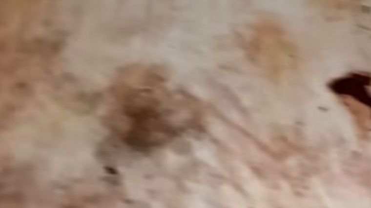 Tips para eliminar los manchones de tus muebles Consejos nuevos super utiles Foto: Fuente: Imagen/ @yolandavaquitayoli