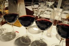 La comunicación y educación del vino, de la mano de una consultora argentina. Foto: ALF PONCE MERCADO / MDZ