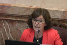 una senadora k presento otro polemico proyecto para ampliar la corte