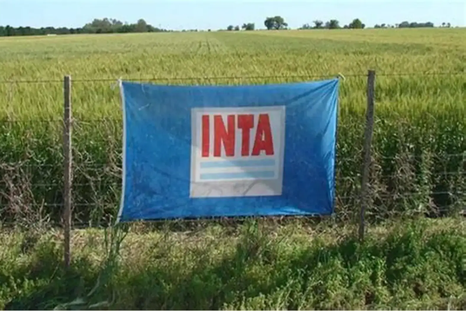 La medida del Gobierno, firmada por el presidente Javier Milei y el ministro de economía, Luis Caputo, busca optimizar la toma de decisiones y reducir superposiciones de funciones. La medida del Gobierno, firmada por el presidente Javier Milei y el ministro de economía, Luis Caputo, busca optimizar la toma de decisiones y reducir superposiciones de funciones.