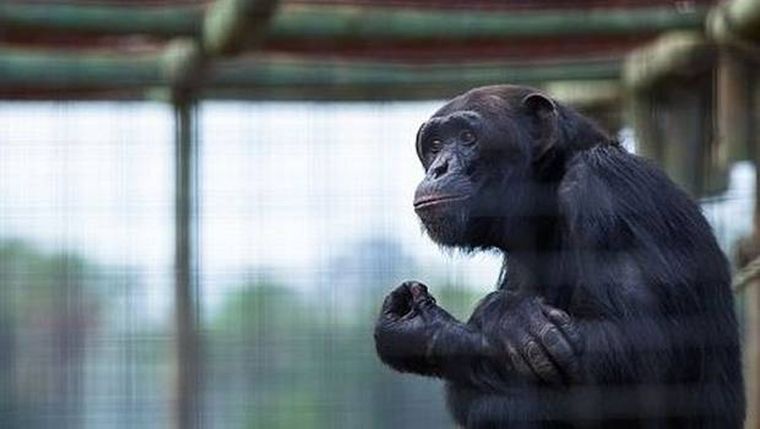 Foto: gastonlacombe.com