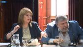 El cruce entre Bullrich y Mayans. Foto: Captura SenadoTV El cruce entre Bullrich y Mayans. Foto: Captura SenadoTV