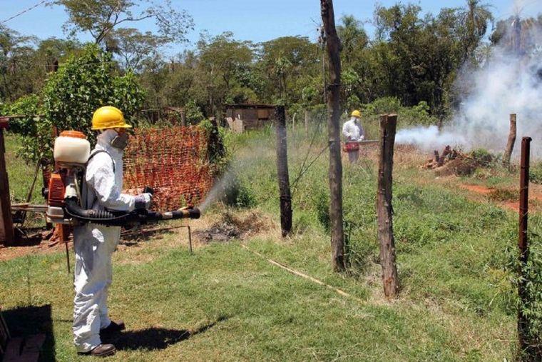Los municipios intensifican las tareas de fumigación.