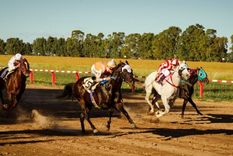 El hecho ocurrió en Pozo Azul, en la provincia de Misiones Foto: Imagen ilustrativa