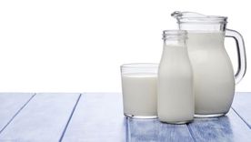 La mayoría de los animales deja de tomar leche cuando empieza a necesitar alimentos más complejos.
