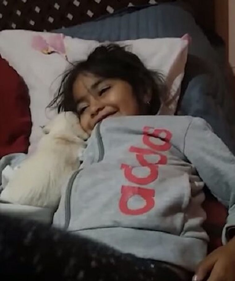 Una imagen del video que difundió ayer la familia