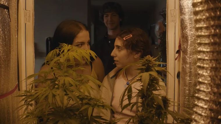 Escenas de Verano Trippin. Escenas de Verano Trippin.