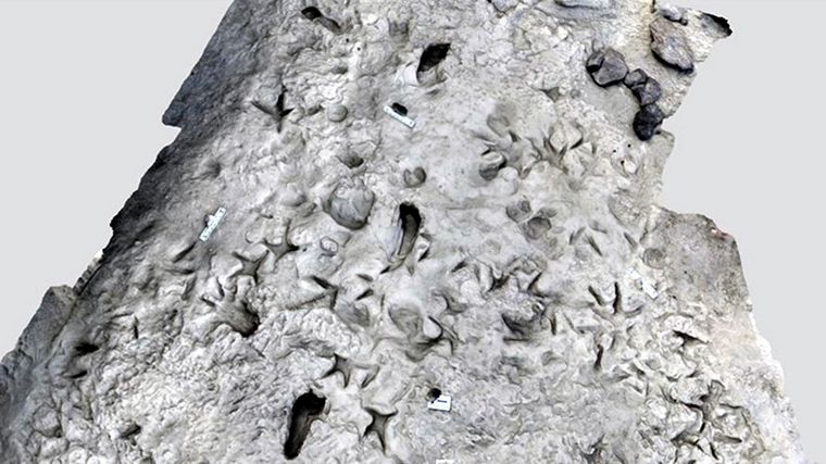 Un modelo computarizado en 3D de la superficie del área cercana al lago Turkana en Kenia. Foto: Dpa.