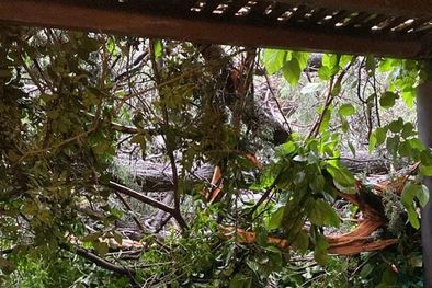 MDZol | La familia Rossi quedó aislada luego del temporal