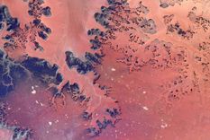 Foto: Twitter / Shane Kimbrough @astro_kimbrough