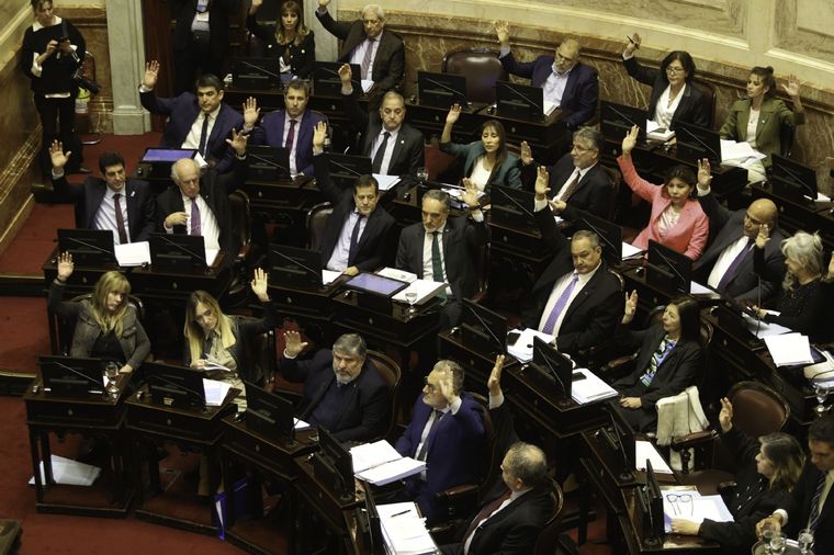 El Senado avanzó con un proyecto que tenía media sanción desde agosto. Foto: Noticias Argentinas