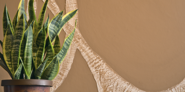La planta ideal para relajarse y dormir mejor. Foto: Shutterstock