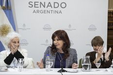 Estela de Carlotto junto a Cristina Fernández de Kirchner Foto: Télam
