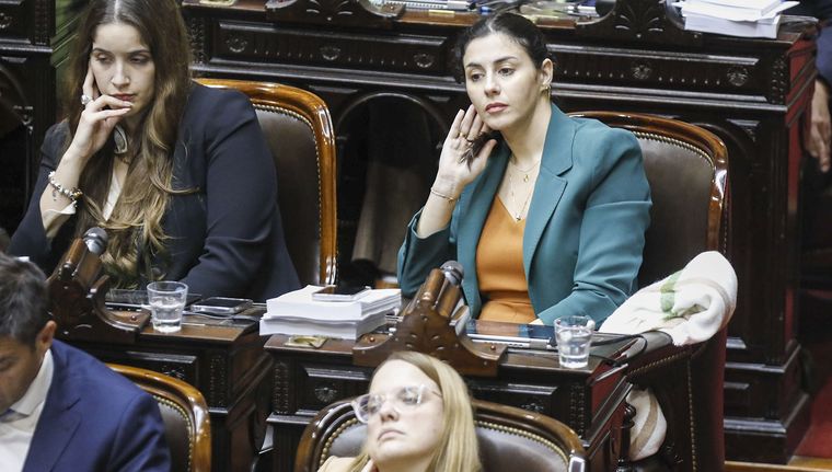 El Gobierno tiene en la mira a la diputada de LLA, Marcela Pagano Foto: NA