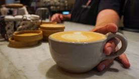 Café, una excusa para las vacaciones de invierno. Café, una excusa para las vacaciones de invierno.